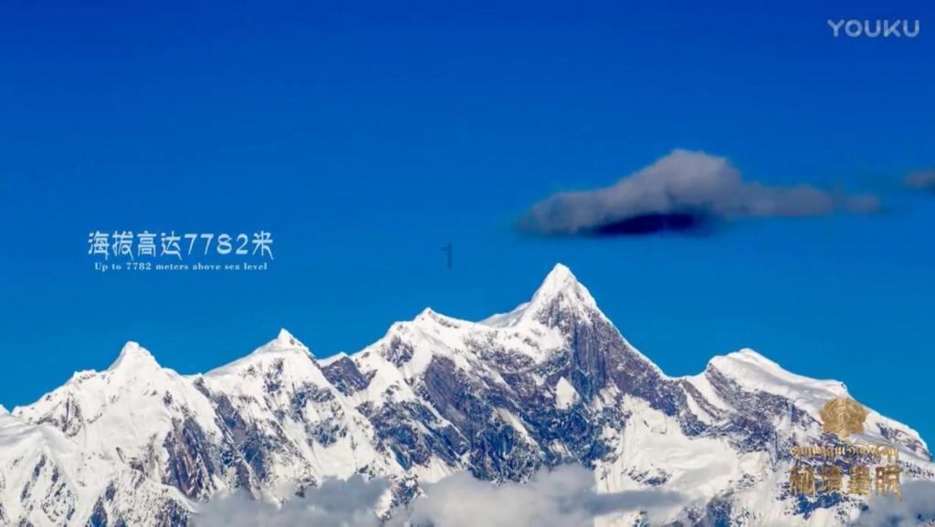 公主的时尚风