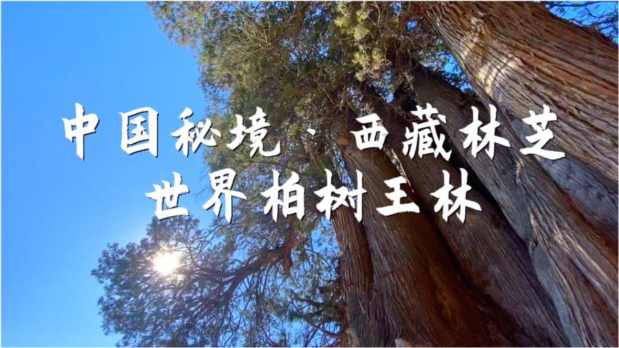 媒体人:国足如果要换帅,直接从中超现役或前教练里找个洋帅