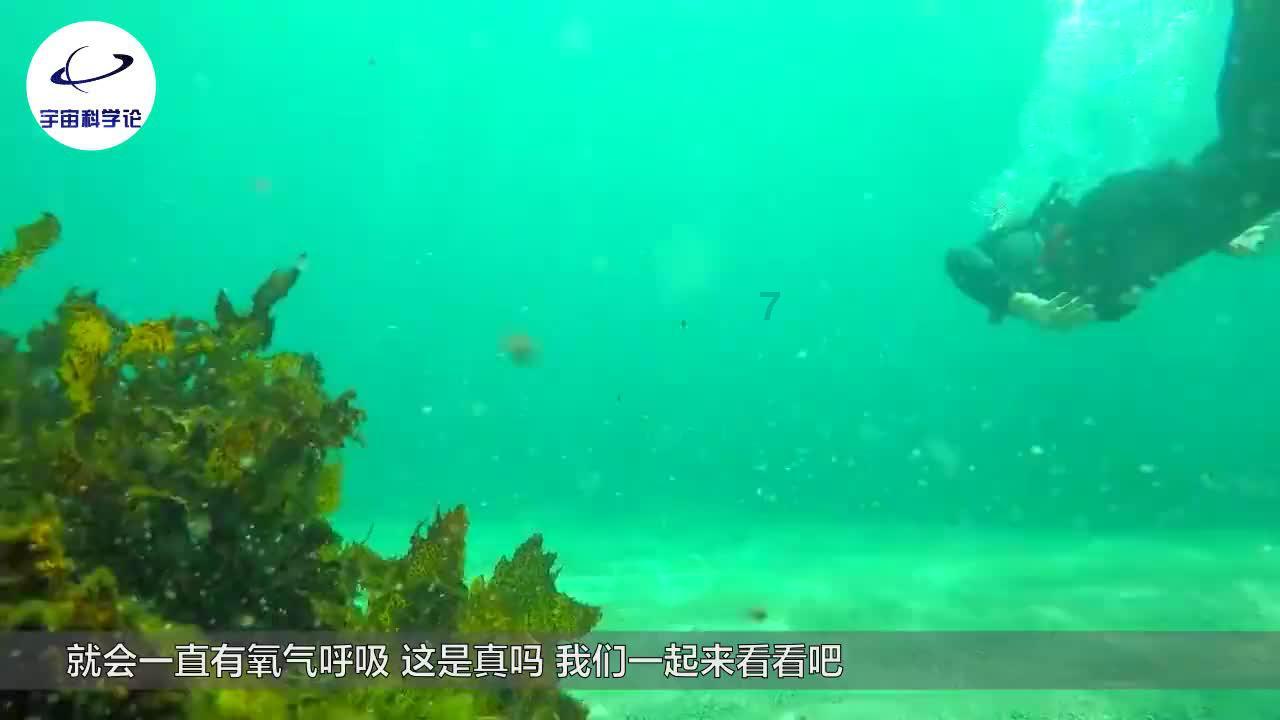 顺溜大冲锋2